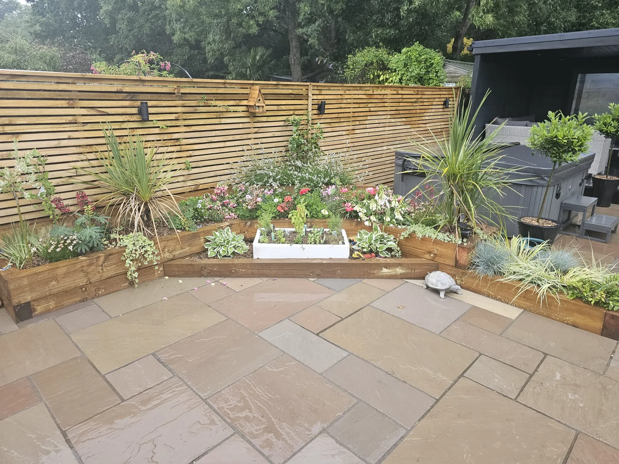 a garden with a lot of plants in it